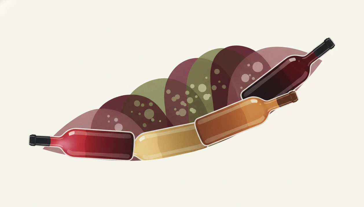 An illustrated aging arc shows wine bottles moving through color-coded drinking windows over time.